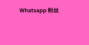 Whatsapp 粉丝